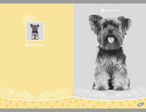 Sweet Pets 4